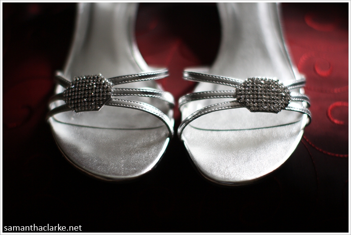 Heintzman House Wedding Photo