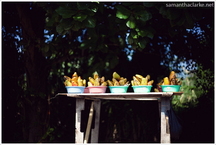 St Anns Jamaica Frames