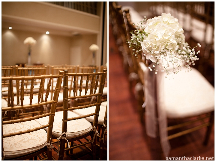 Stephanie Matthew Wedding Portrait