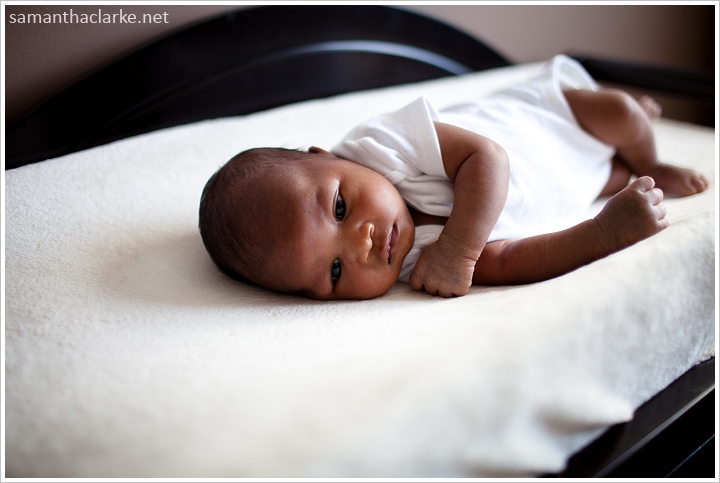 Newborn Portraits Photographer Samantha Clarke