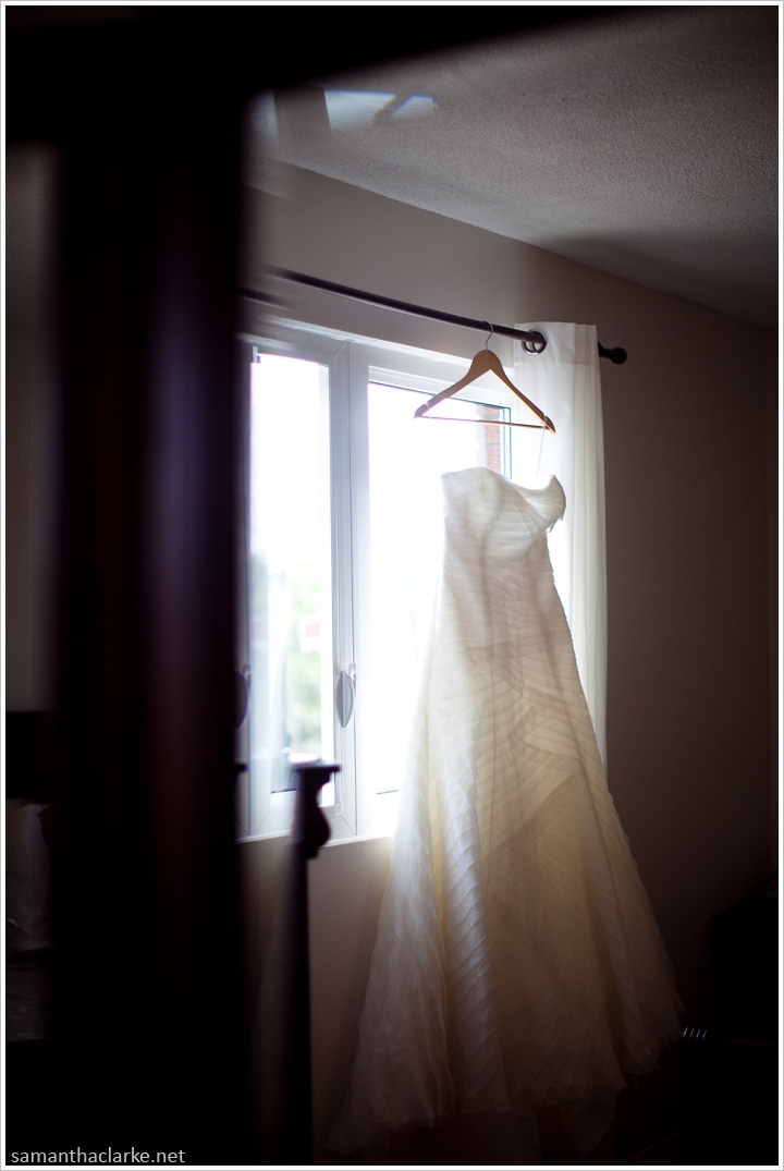 Vanessa Matthew Wedding Portrait