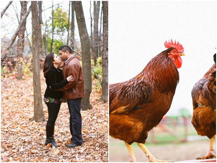Whittamore_Farm_Fall_Engagement Whittamore Farm Fall Engagement