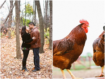Whittamore Farm Fall Engagement