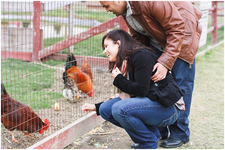 Whittamores_Farm_Fall_Engagement (6) Whittamore Farm Fall Engagement