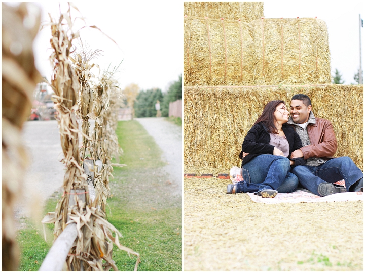 Whittamores_Farm_Fall_Engagement (7) Whittamore Farm Fall Engagement