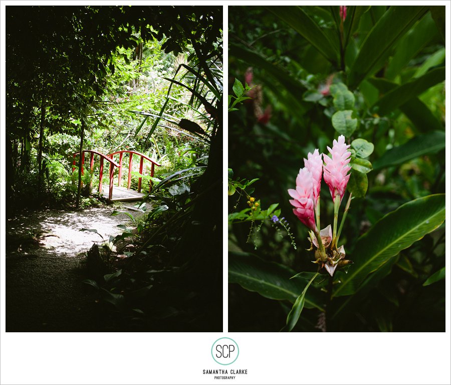 StLucia_EngagementShoot_SamanthaClarke-141