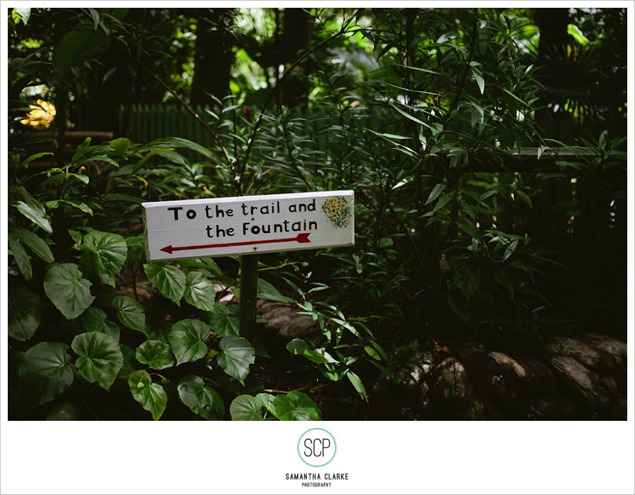 StLucia_EngagementShoot_SamanthaClarke-154