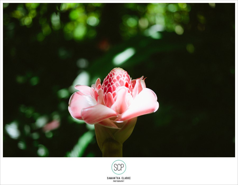 StLucia_EngagementShoot_SamanthaClarke-184
