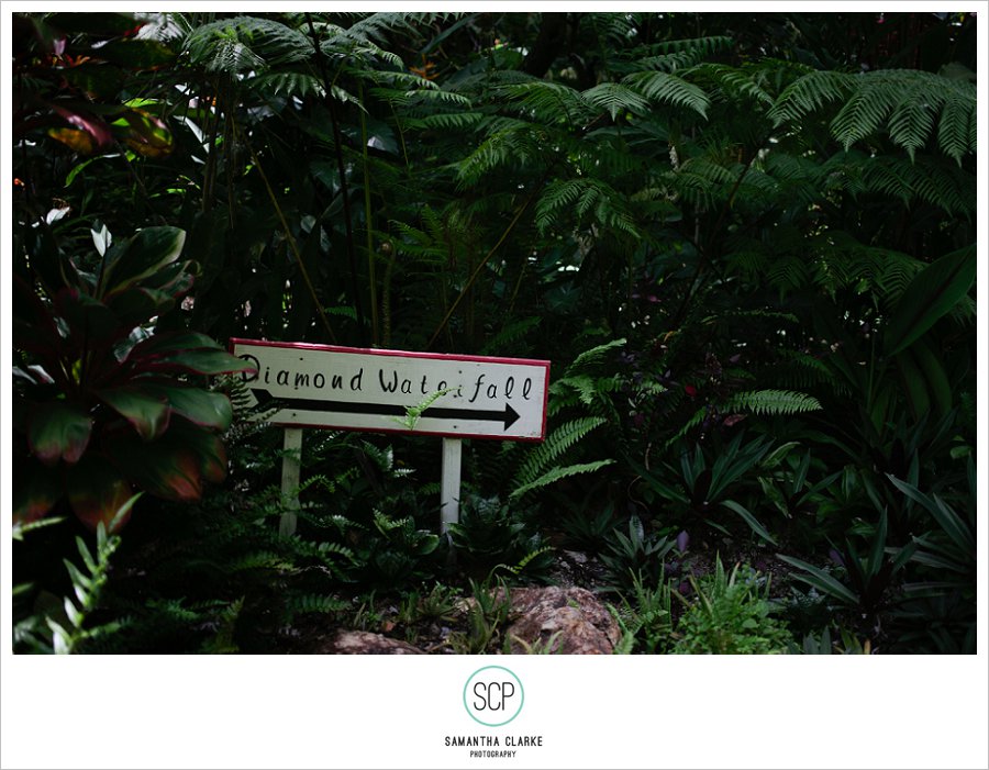 StLucia_EngagementShoot_SamanthaClarke-193