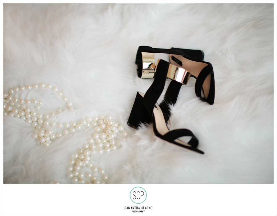 Sheer Elegance Dress Photo