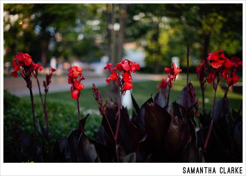 gage-park-engagement-photographer-8489