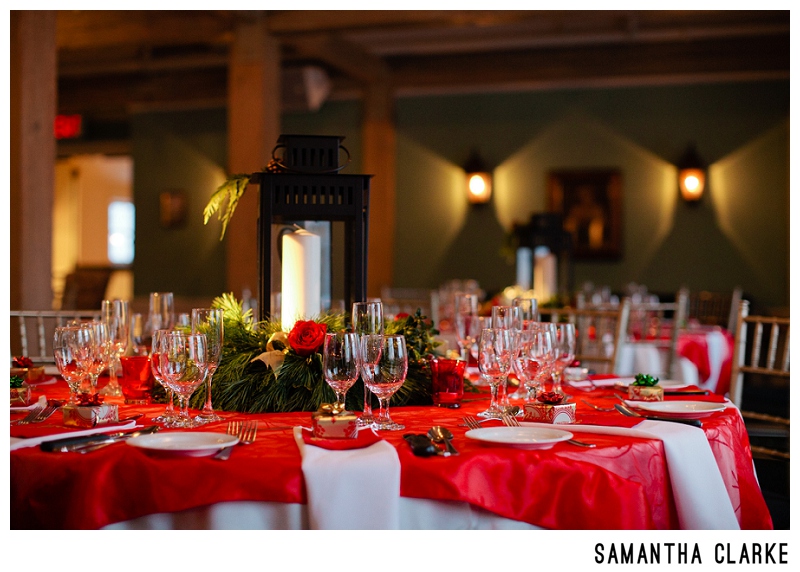 Christmas-Wedding-The-Doctors-House-5324