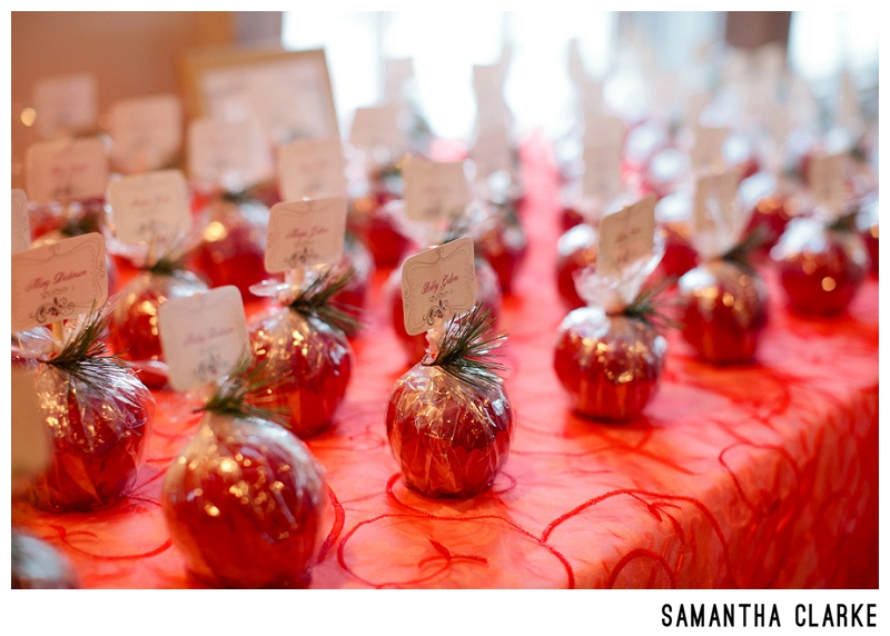 Christmas-Wedding-decor
