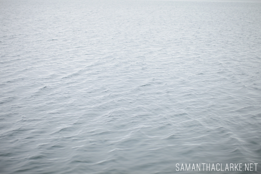 kingston-engagement-session-9072