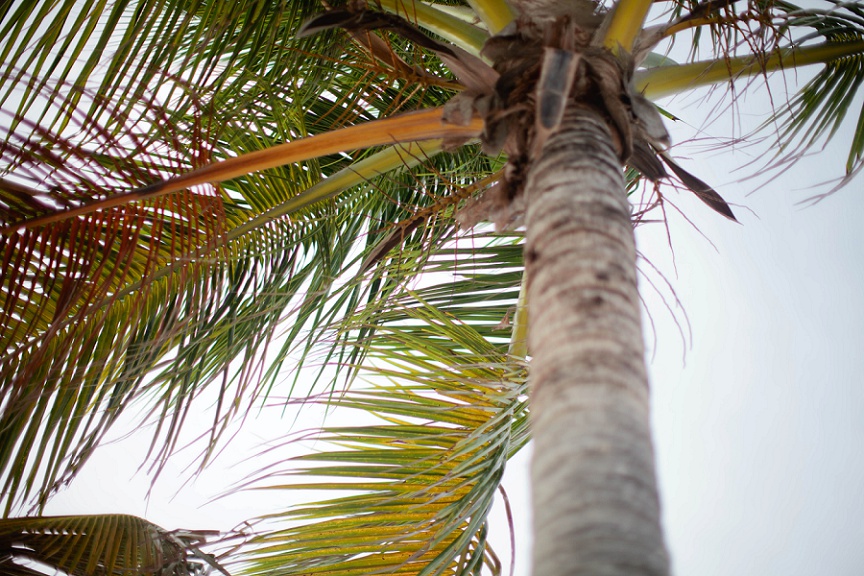 Miami-Beach-Elopement-Inspiration_0006