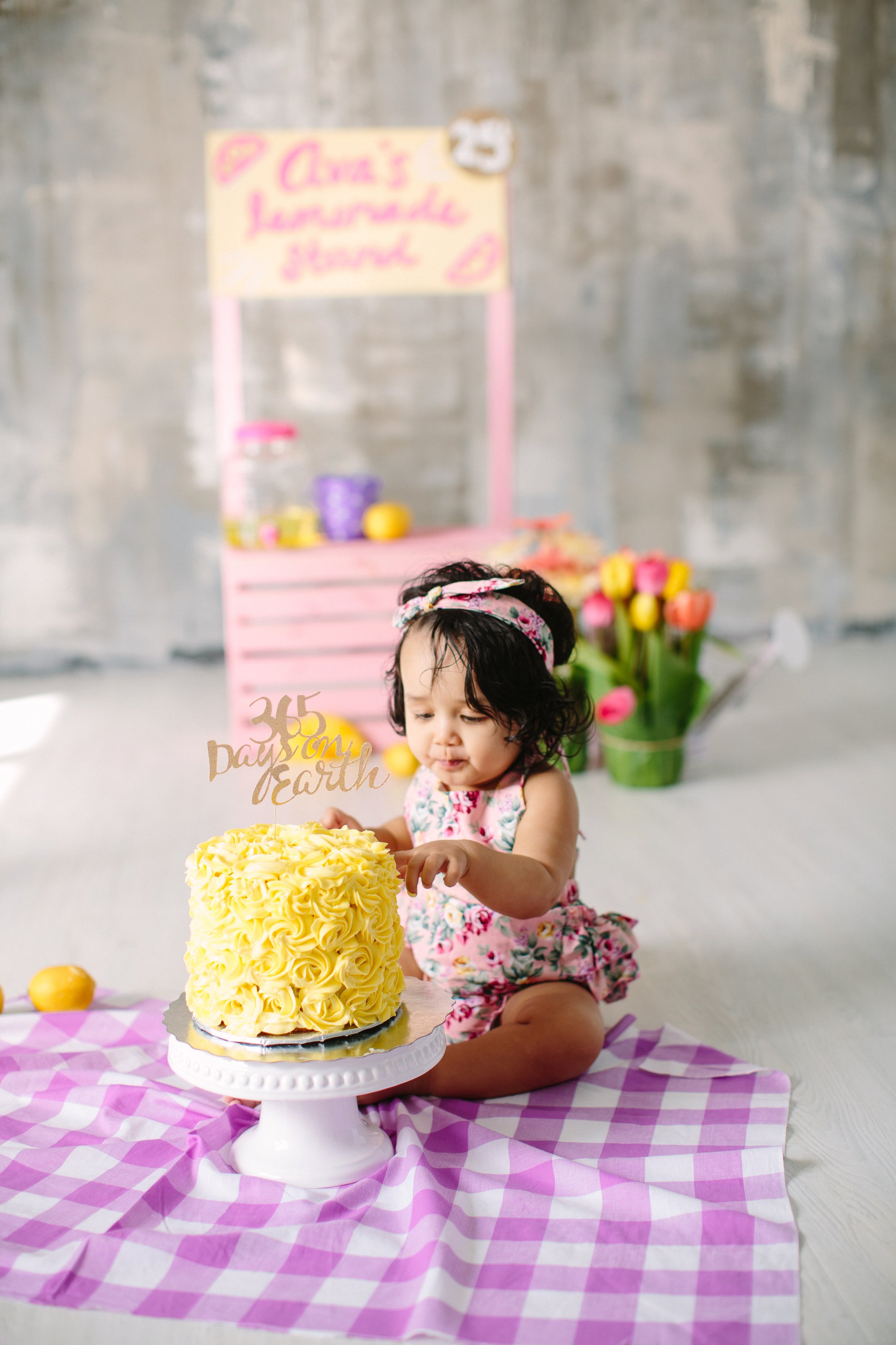 cake smash first birthday photo shoot
