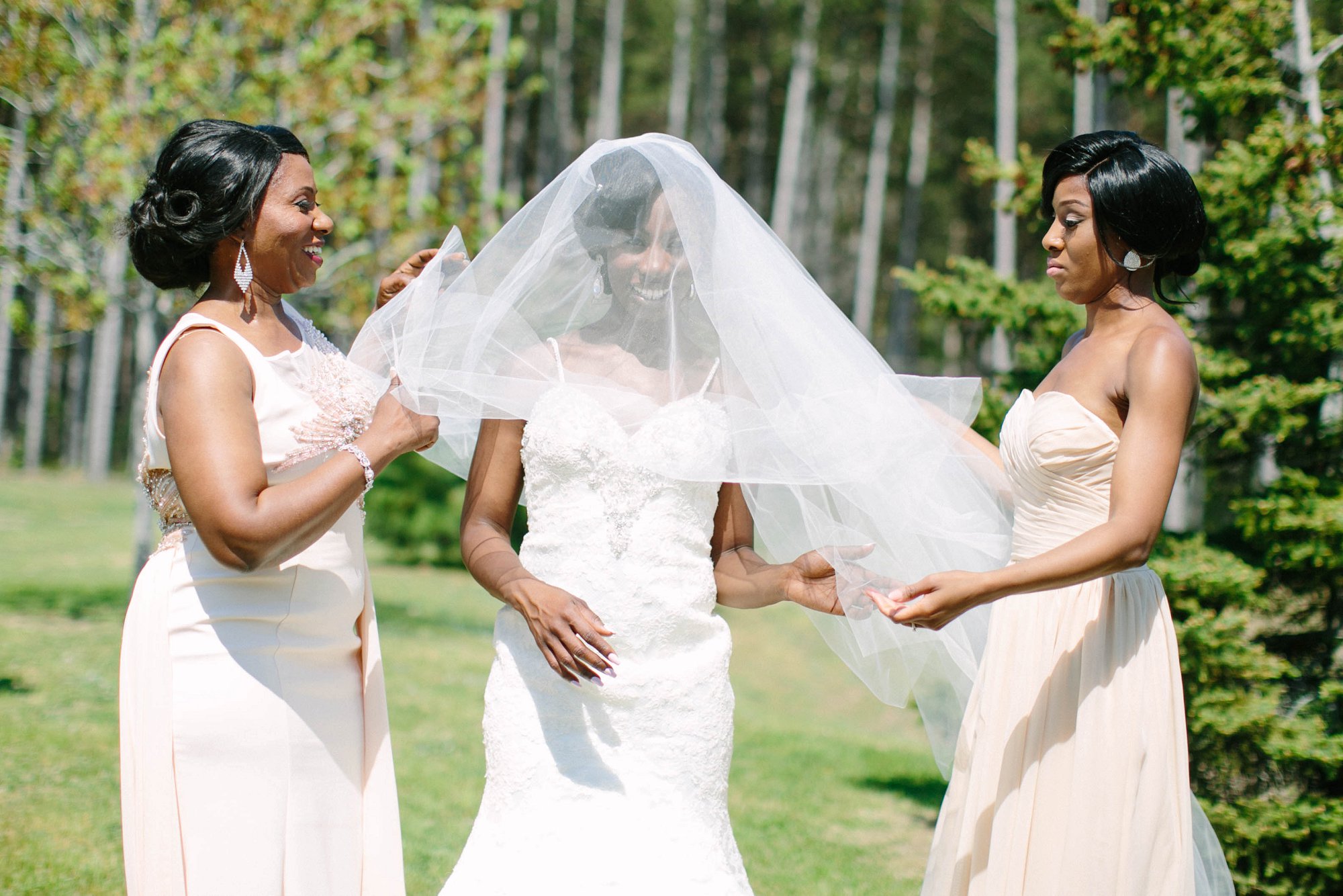 African wedding celebration