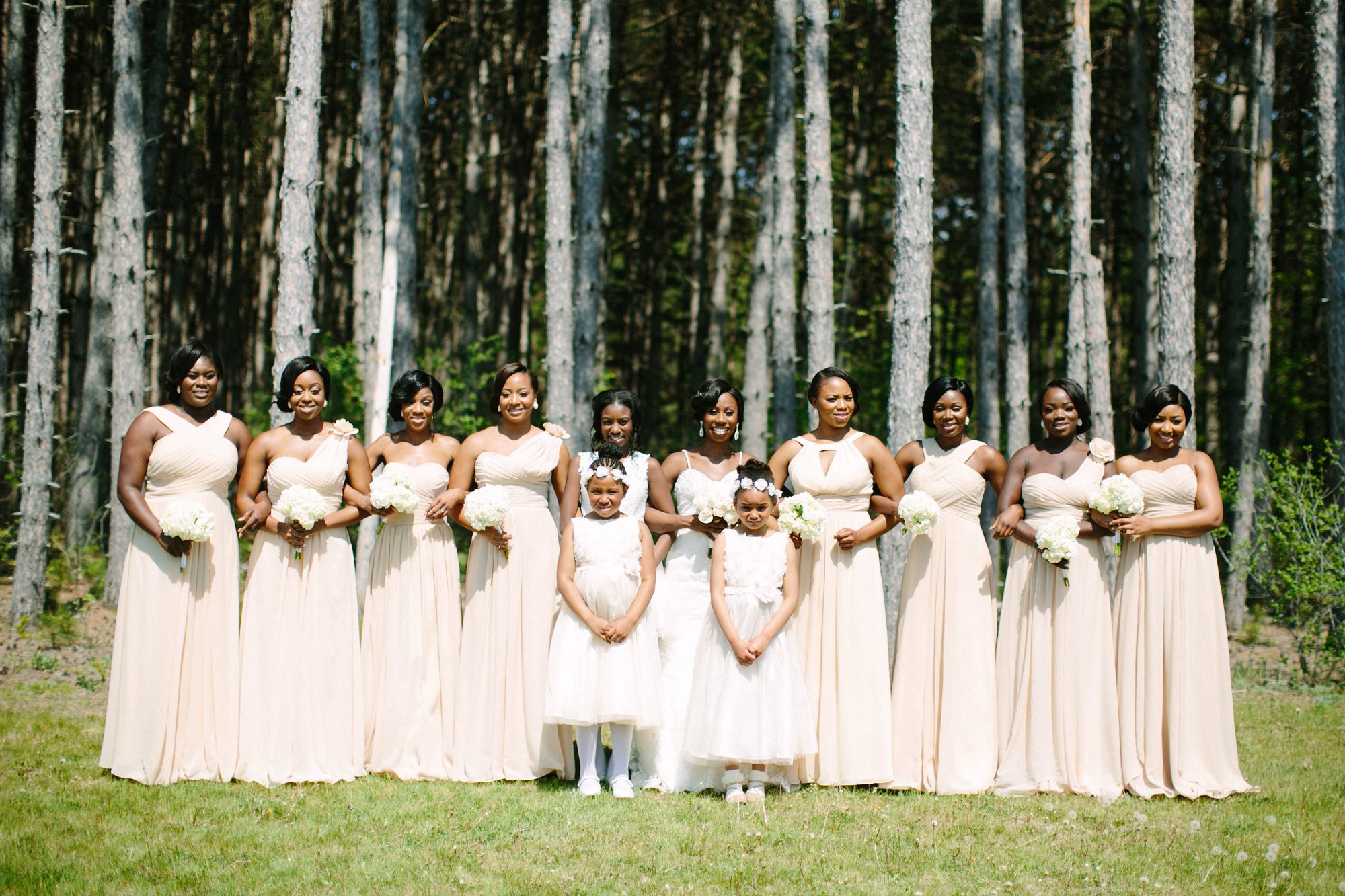 African wedding celebration