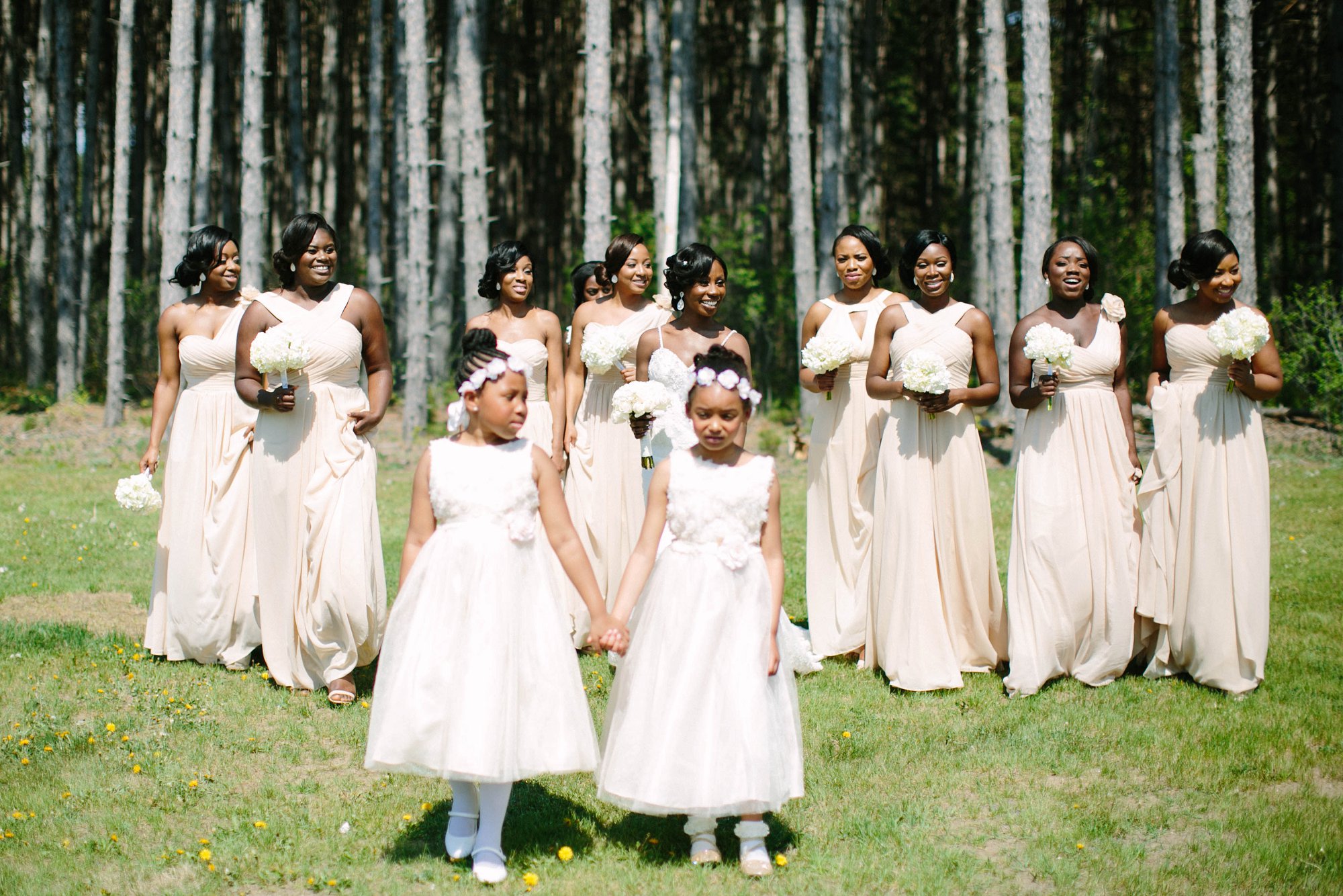 African wedding celebration