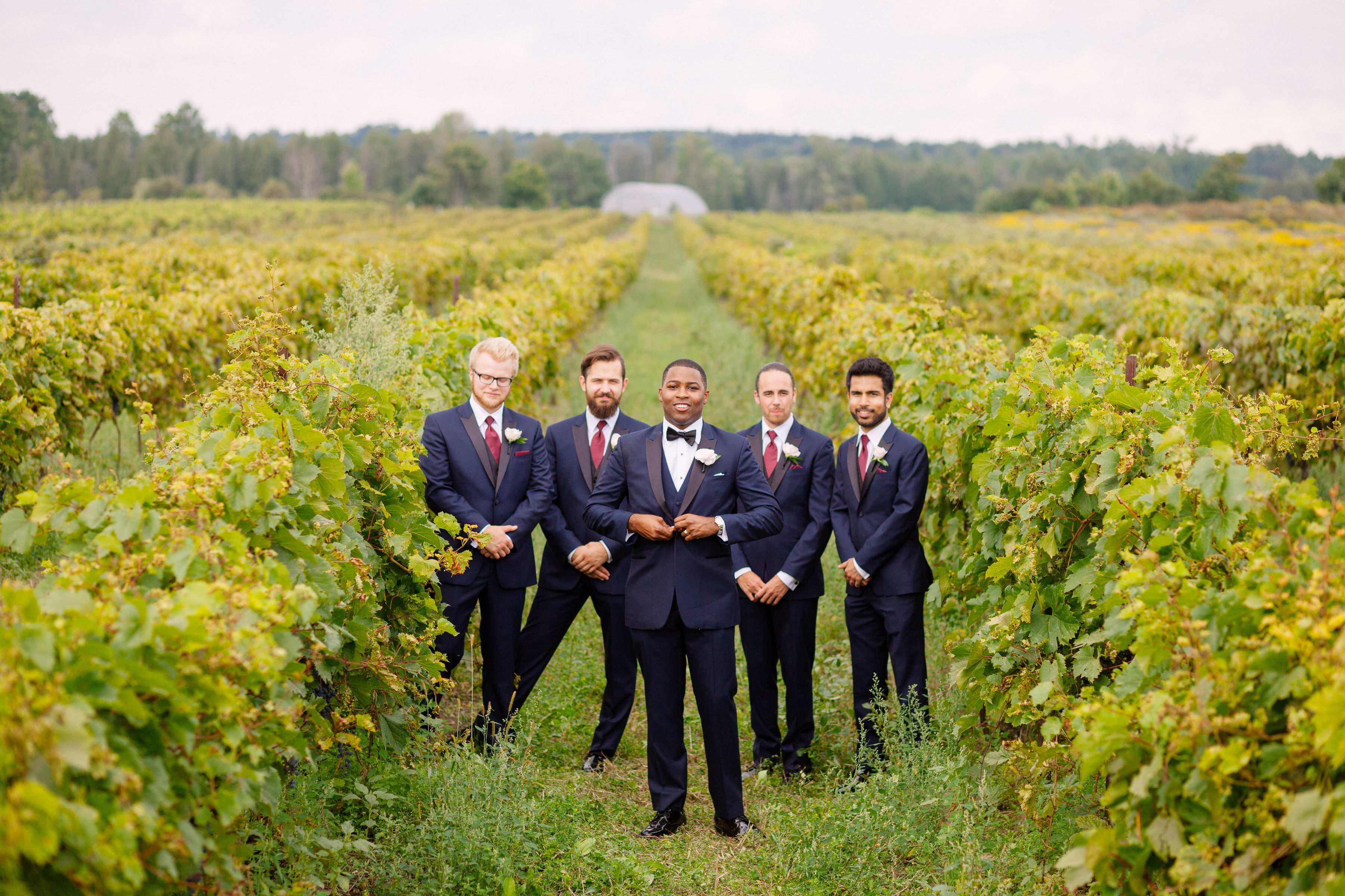 Groomsmen in navy suits at Willow springs winery in Markham ON